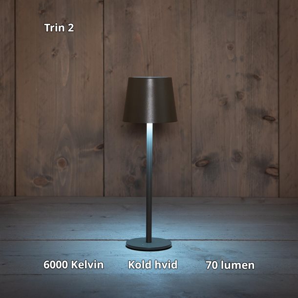 Genopladelig bordlampe med kelvin-skift, trinløst dæmpning, 27,5 cm høj, i farven mat grå - IP44 CB218002