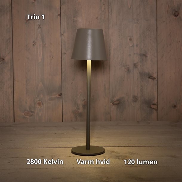 Genopladelig bordlampe med kelvin-skift, trinløst dæmpning, 36,5 cm høj, i farven mat grå - IP44 CB218012